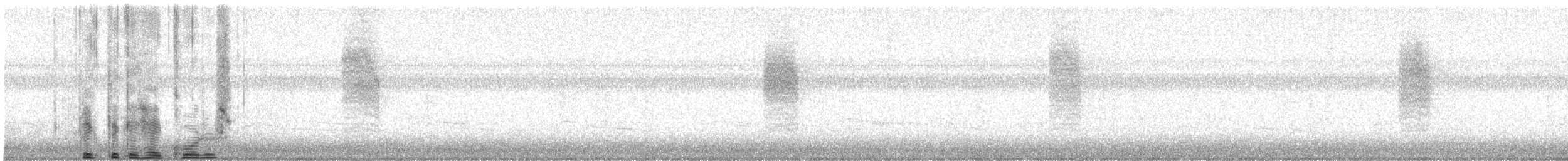 Northern House Wren - ML119082101