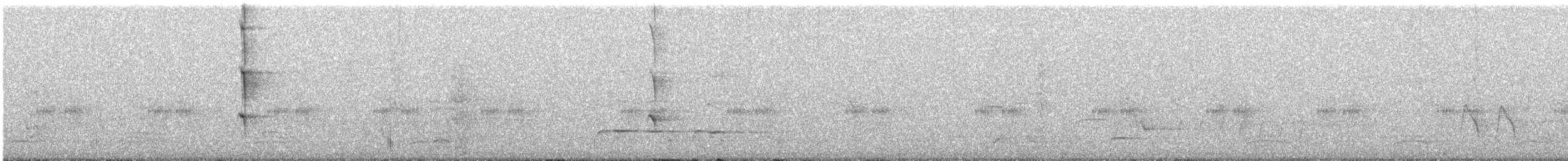 Méliphage cornu (melanops/meltoni) - ML119123821