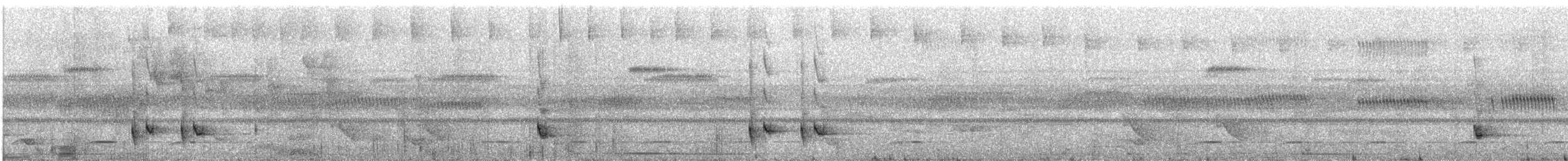 Schwarzschopf-Todityrann - ML119189141