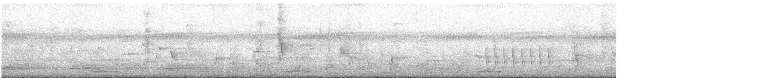holoubek proužkokrký - ML119240151