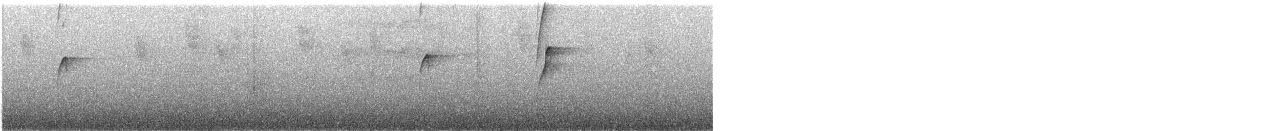 Мухоїд світлогорлий (підвид peruvianus) - ML119288771