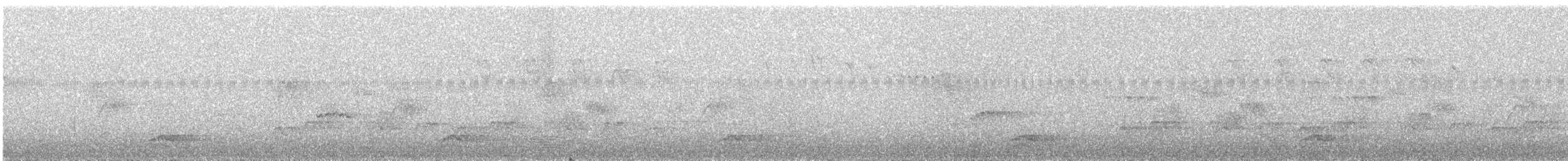 Tinamou à capuchon - ML119293941