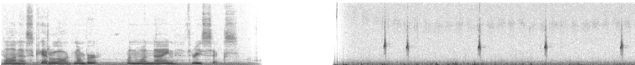 rødvingetrupial (phoeniceus gr.) - ML11936