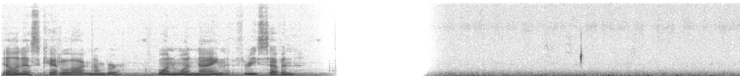 Carouge à épaulettes (groupe phoeniceus) - ML11937