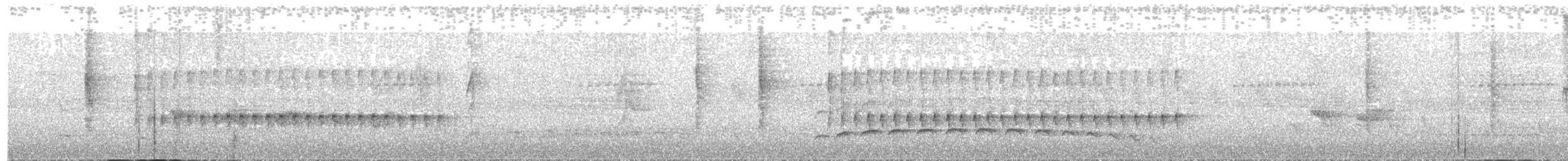 spydknottsmett (melanurus gr.) - ML119434931