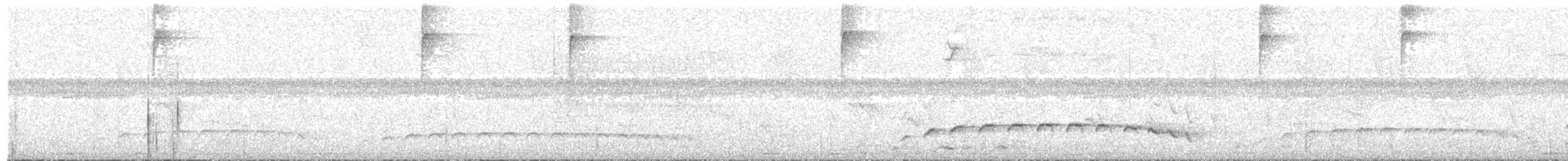 Fleckenbrust-Ameisenvogel - ML119435061