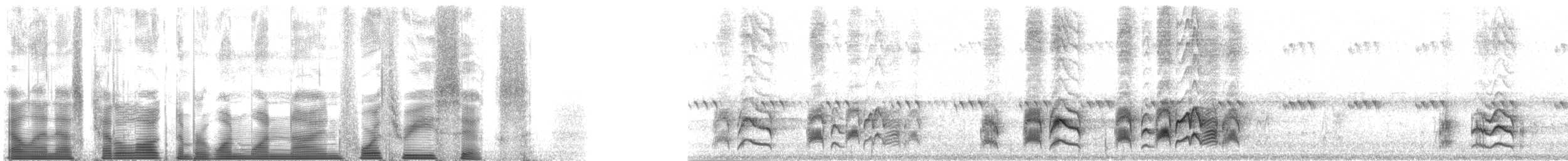 Cassinkönigstyrann - ML119436