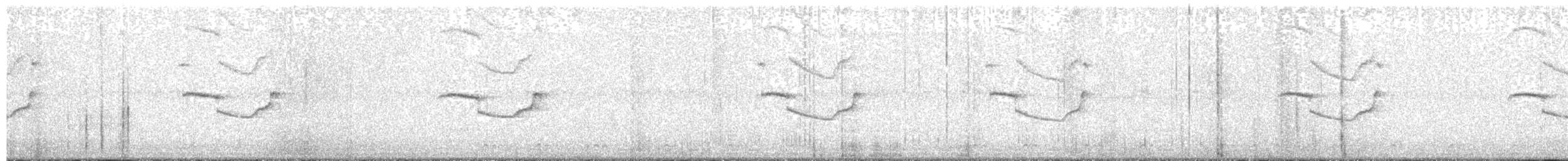 Band-winged Nightjar (longirostris) - ML119439351