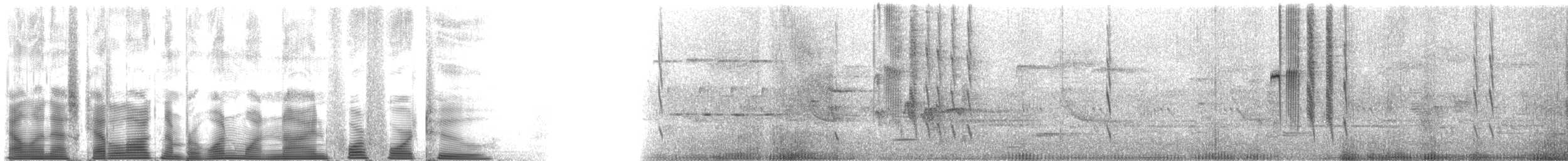 Anna's Hummingbird - ML119442