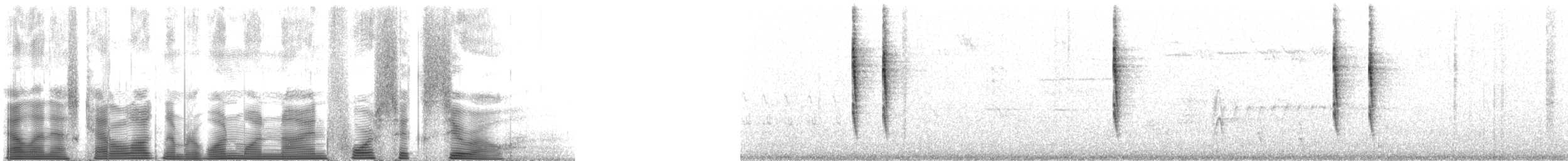 Troglodyte de Baird (groupe pacificus) - ML119460