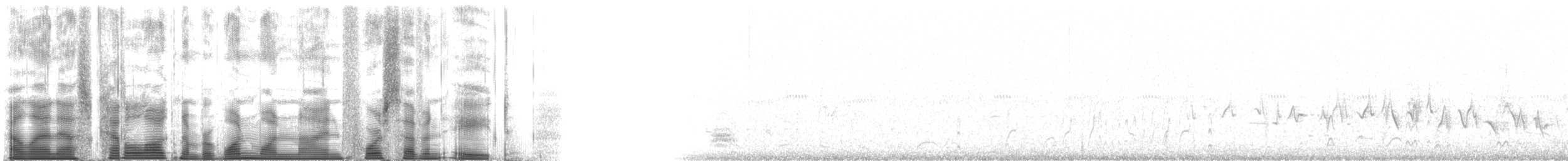 Chevêche des terriers (hypugaea/rostrata) - ML119478