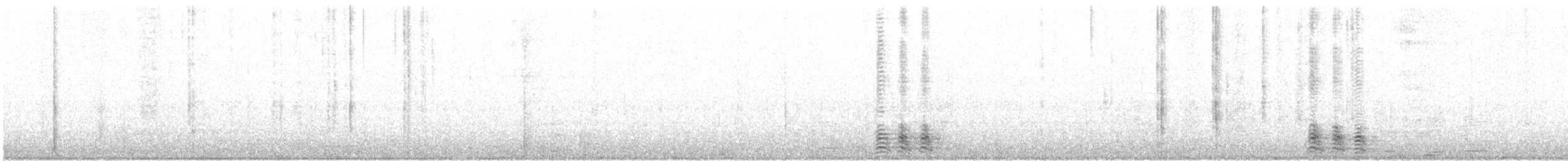 Серокрылая чайка - ML119480521
