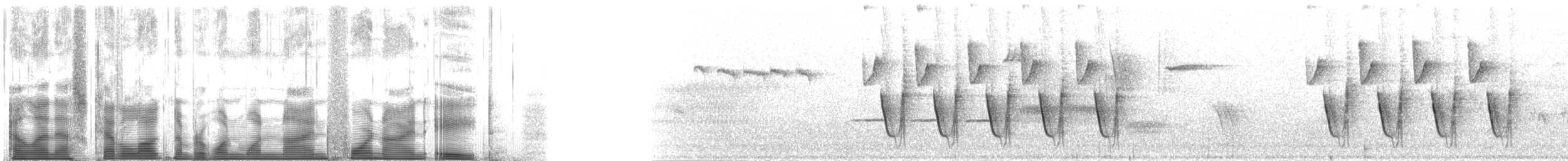 gråmeis - ML119498
