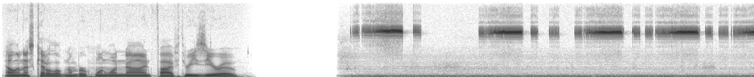 confused ground cricket - ML119530