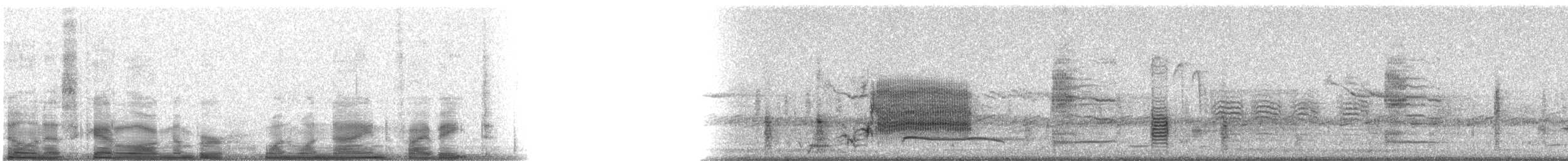 rødvingetrupial (phoeniceus gr.) - ML11958