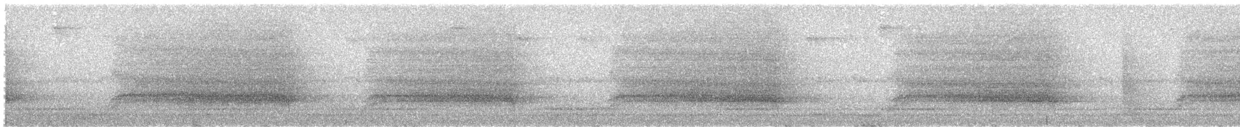 Сипуха темно-бура (підвид tenebricosa/arfaki) - ML119612851