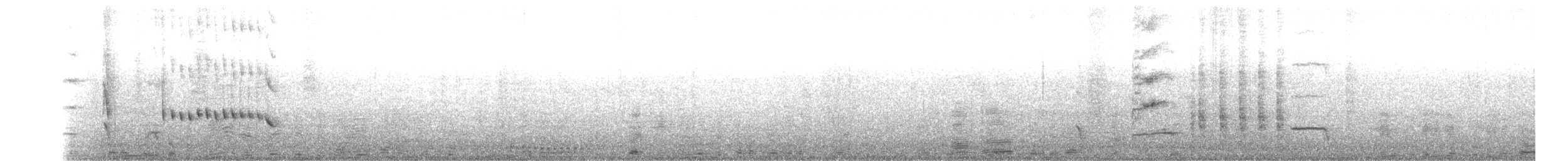 Carouge austral - ML119711381