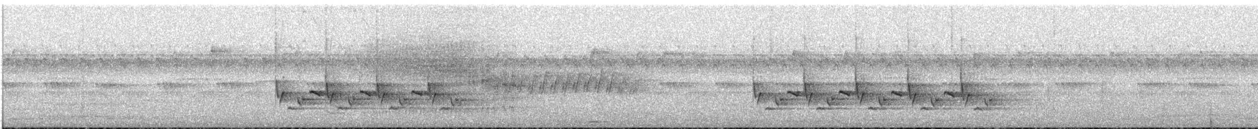Поплітник каролінський - ML119754781