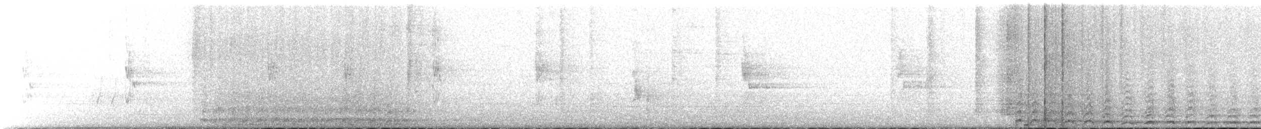 holub skalní (domácí) - ML119795111
