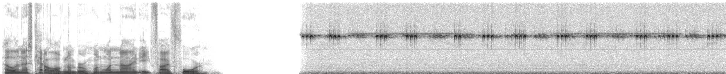 Gundlachs trig - ML119854