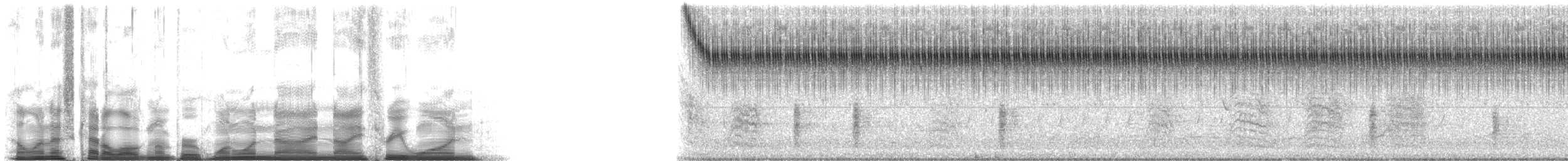 Handsome Trig - ML119931