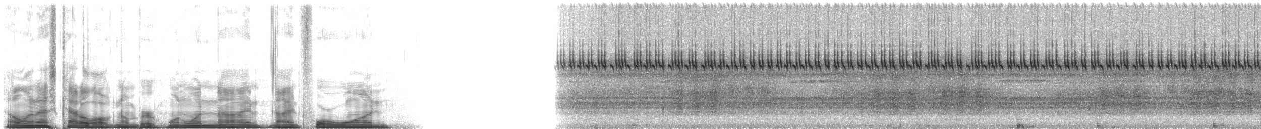 Handsome Trig - ML119941