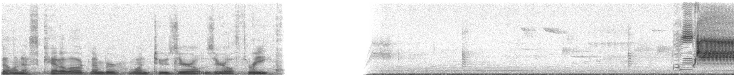 rødvingetrupial (phoeniceus gr.) - ML12003