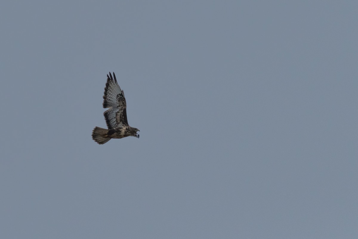 Buse variable - ML120057571