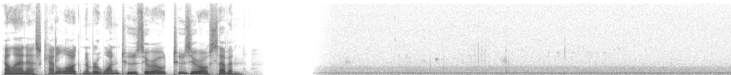 nordtaggsvale (serripennis gr.) - ML120207