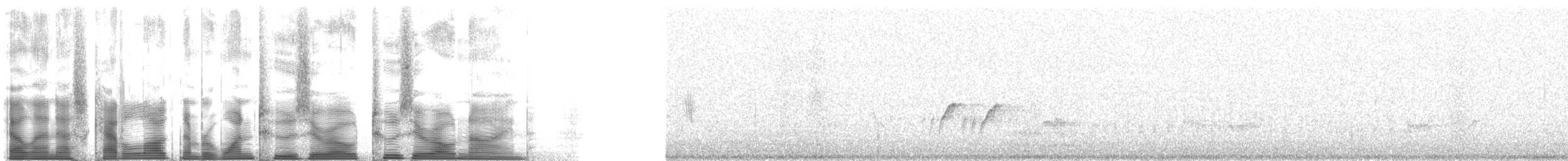 nordtaggsvale (serripennis gr.) - ML120209