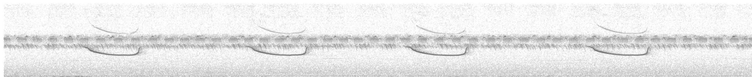 Breitspiegel-Nachtschwalbe - ML120214851