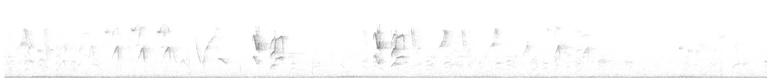 Graustirn-Dickichtschlüpfer - ML120225861