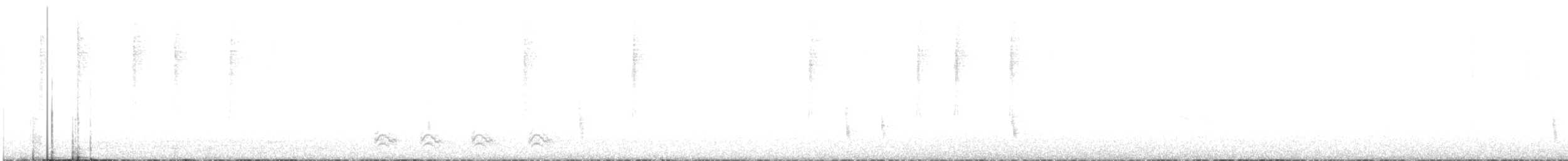 lesňáček černobílý - ML120436441