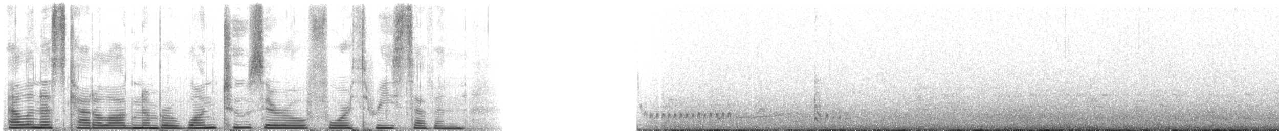 白腰叉尾海燕(leucorhoa) - ML120437