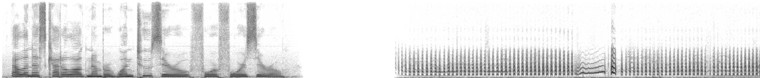 白腰叉尾海燕(leucorhoa) - ML120440