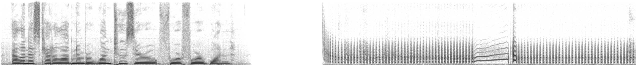 Leach's Storm-Petrel (Leach's) - ML120441