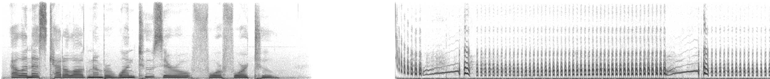 Leach's Storm-Petrel (Leach's) - ML120442