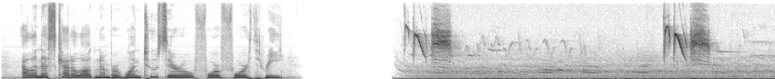 Boreal Chickadee - ML120443