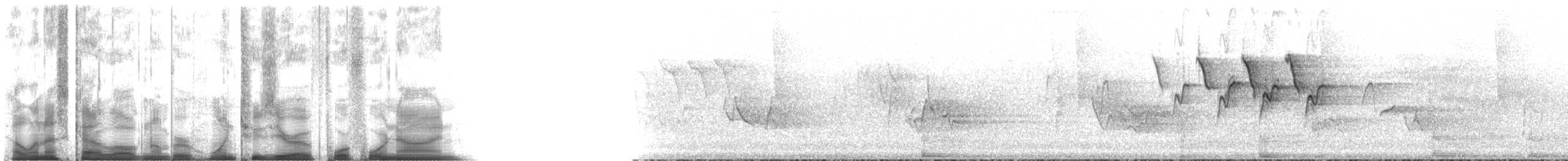 סבכון חכלילי - ML120449