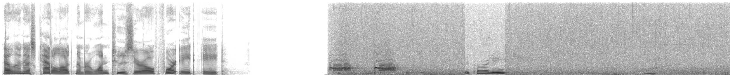 new world trogon sp. - ML120488