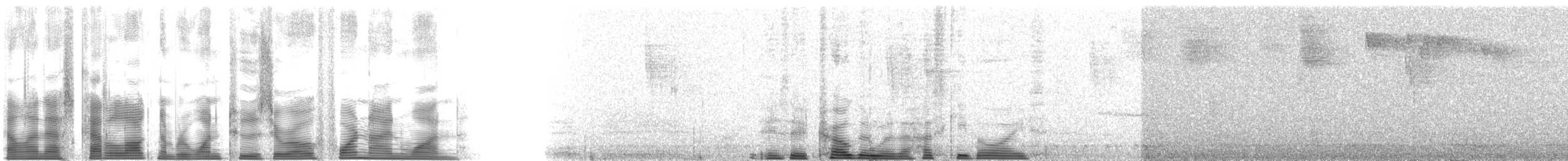new world trogon sp. - ML120491