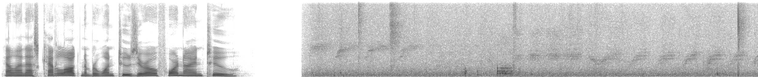 Cuban Tody - ML120492