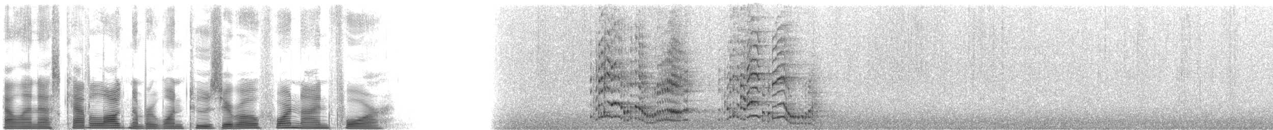 Cuban Crow - ML120494