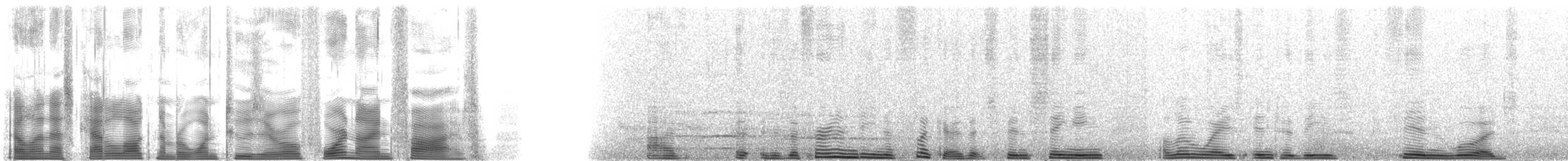 Fernandina's Flicker - ML120495