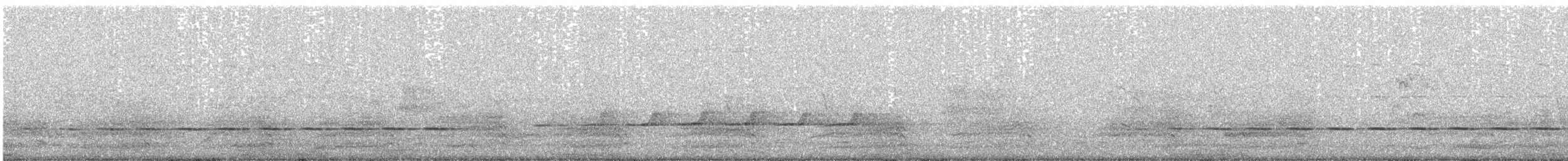 Spotted Quail-thrush - ML120499671