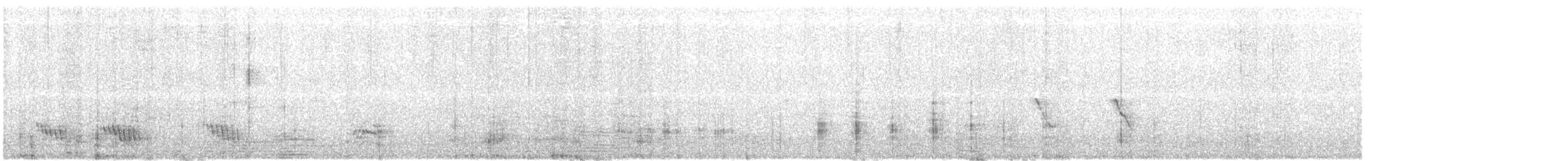 Смолярик білокрилий - ML120569291
