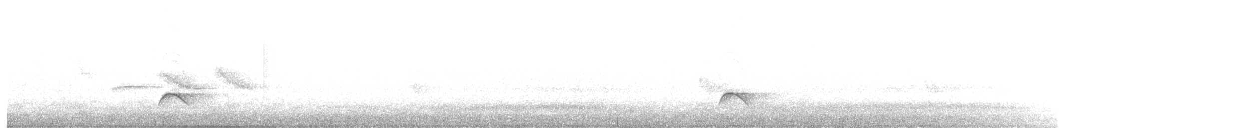 Еленія білочуба (підвид chilensis) - ML120604491