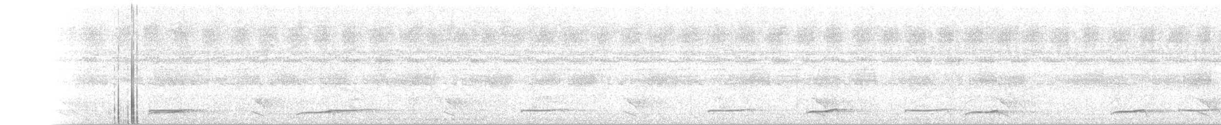 Short-tailed Nighthawk - ML120624131