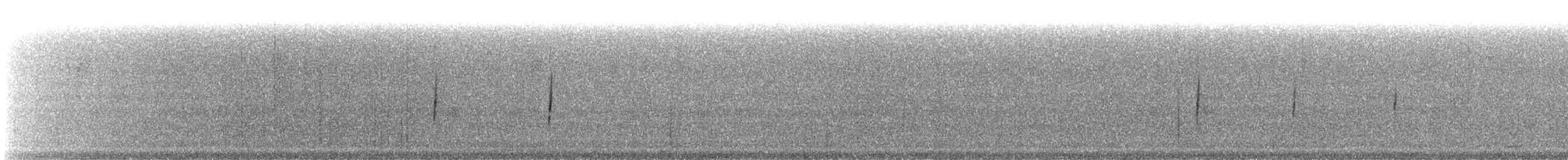 Küçük Boreal Sinekkapan - ML120636351