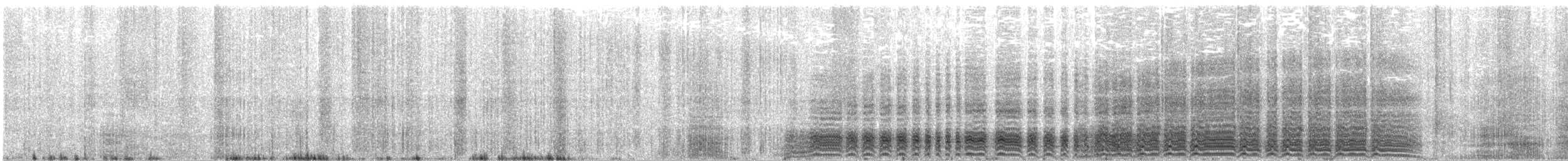 Emperor Penguin - ML120645551